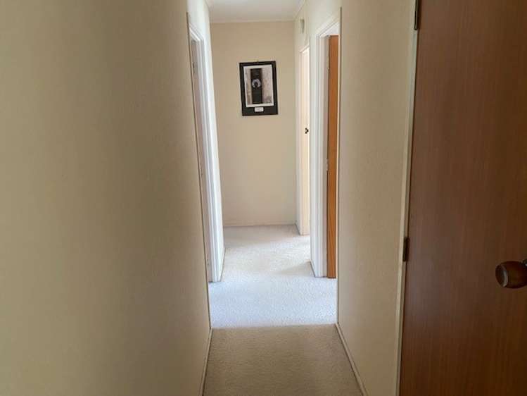 2/24 Tennyson Avenue Takapuna_9