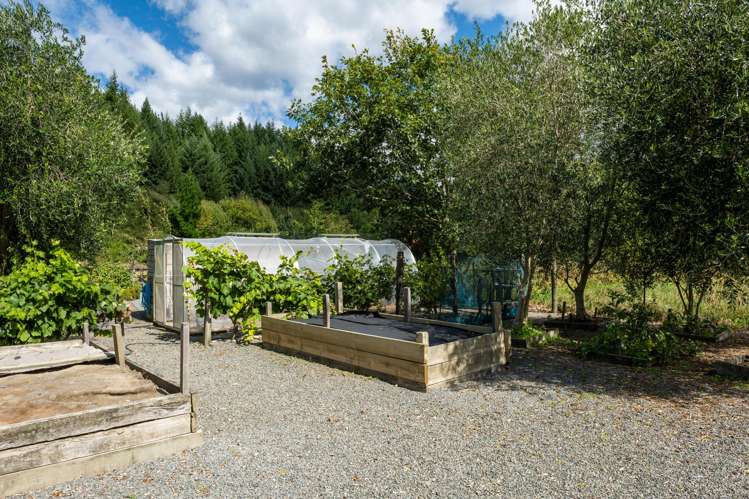 546 Onamalutu Road Onamalutu_30