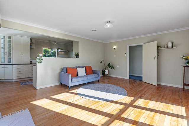 110 Cameron Road Te Puke_2