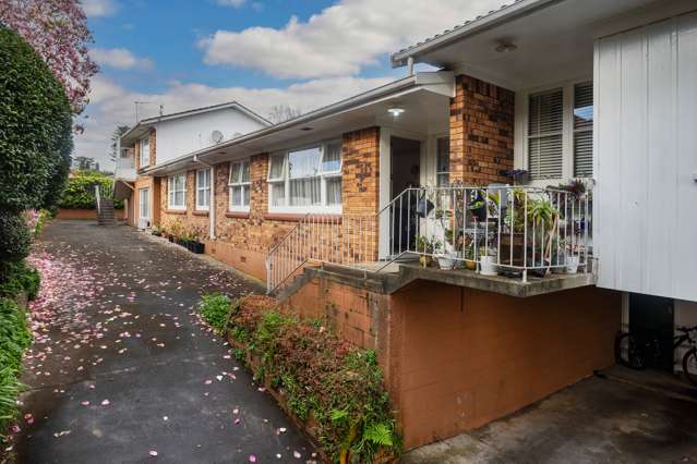 8A - 8E Fairleigh Avenue Mount Albert_4