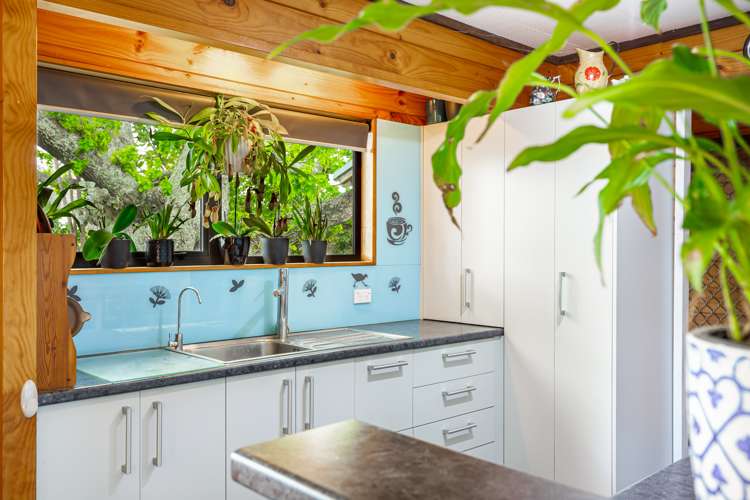 4 Redlands Grove Swanson_9