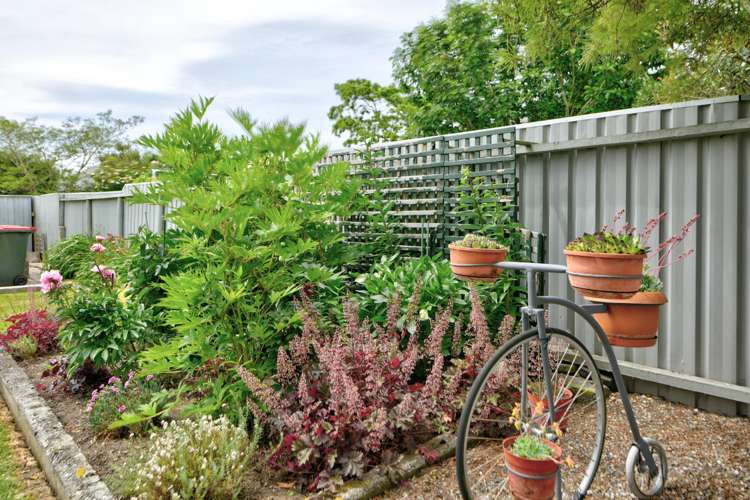 4 York Street Tapanui_22