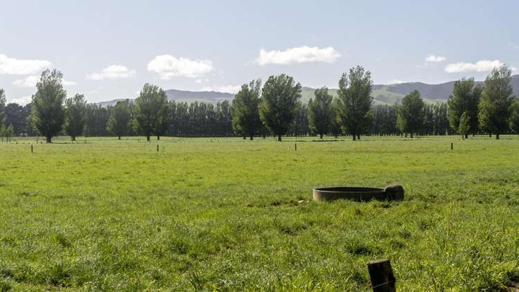 215a Wairio Road Featherston_6