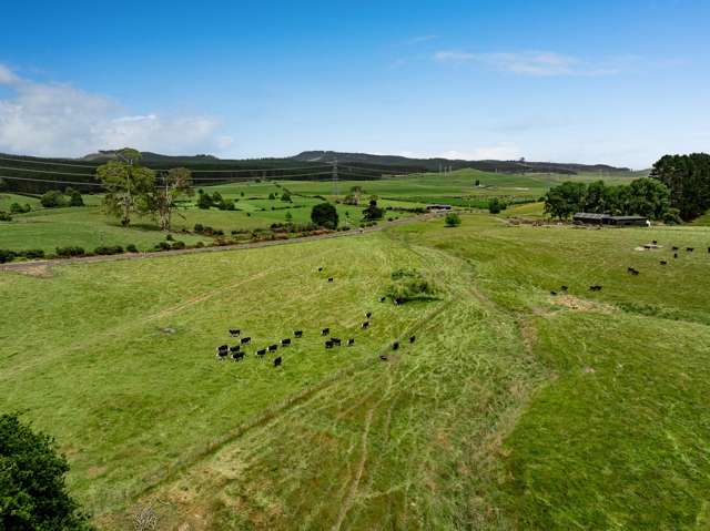 Kopuku Road Maramarua_3