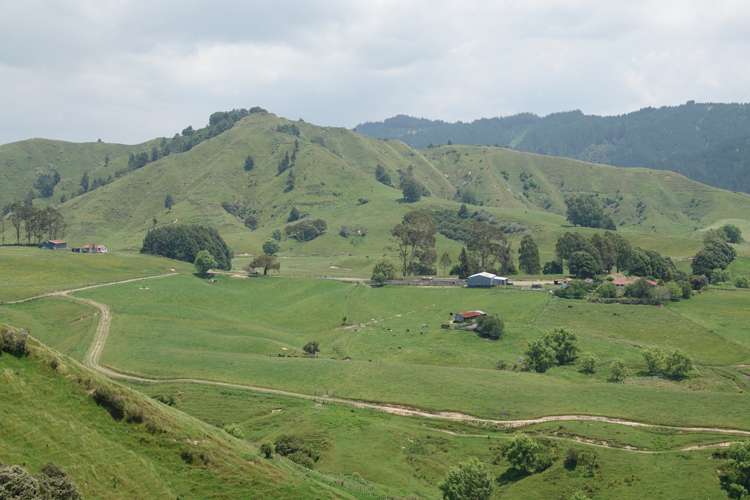 179 and 216 Rankin Road Waiotahe_28