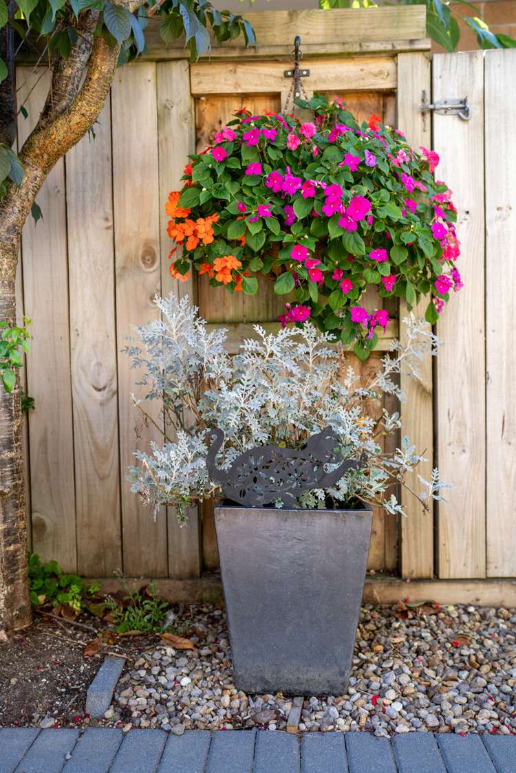 21a Bryce Street Cambridge_25