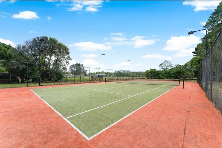 37 Green Road Dairy Flat_34