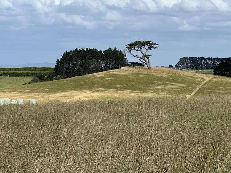 2678 Awhitu Road Awhitu_9