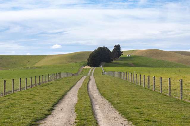 203 Robinson Road Cave_3