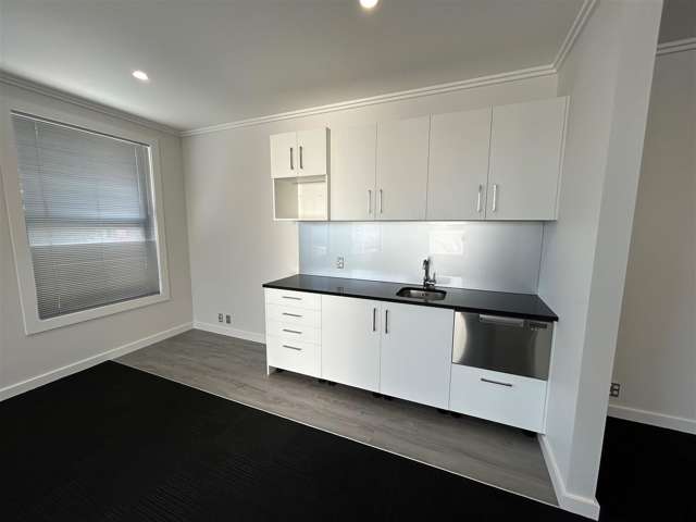 584 Great North Road Grey Lynn_1