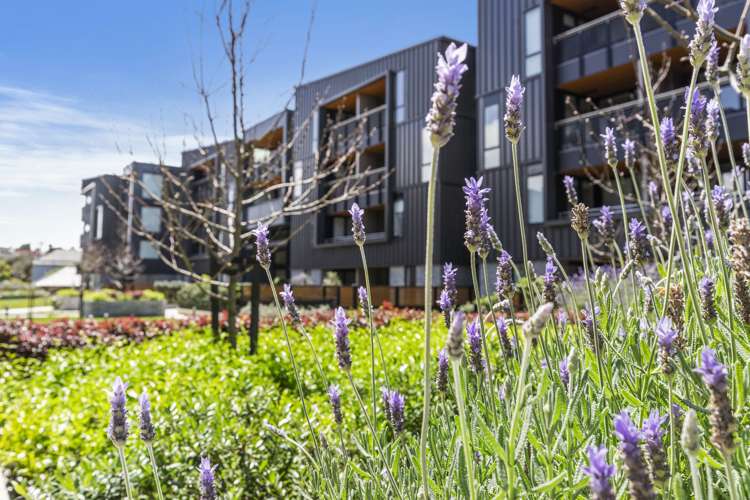 101/70 Victoria Street Onehunga_14