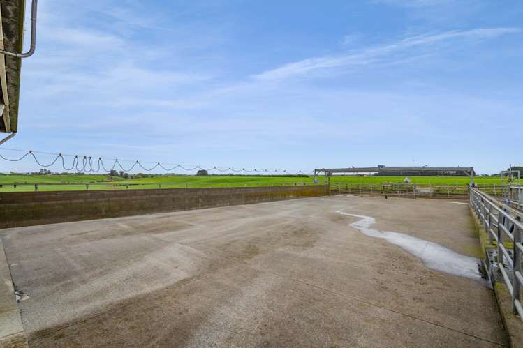 226 Ngarongo Road Normanby_13