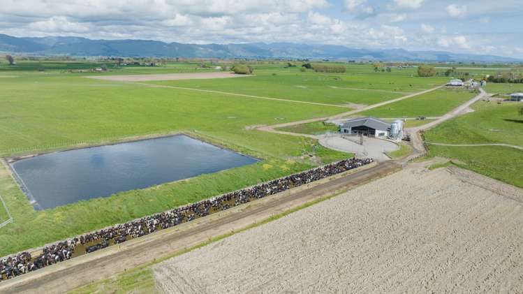 1217 Rangiotu Road Tiakitahuna_14