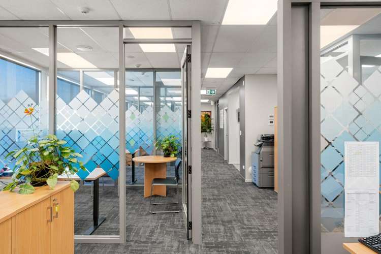 9 Koromiko Street Judea_6