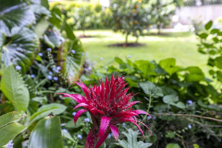 30 Kimihia Road Huntly_40