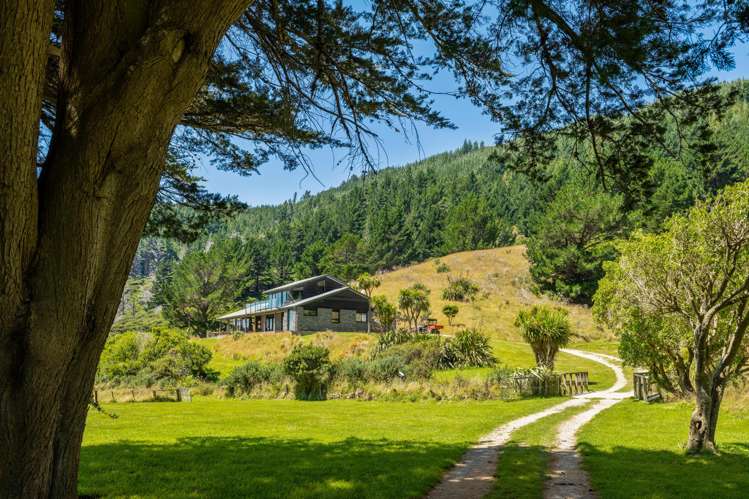 528 Oyster Bay Marlborough Sounds_48