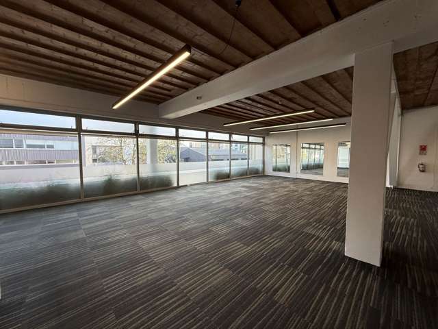 17 Maidstone Street Grey Lynn_3