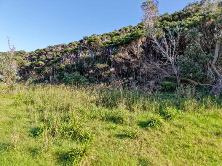 Lot 8 4815 State Highway 1 Houhora_17