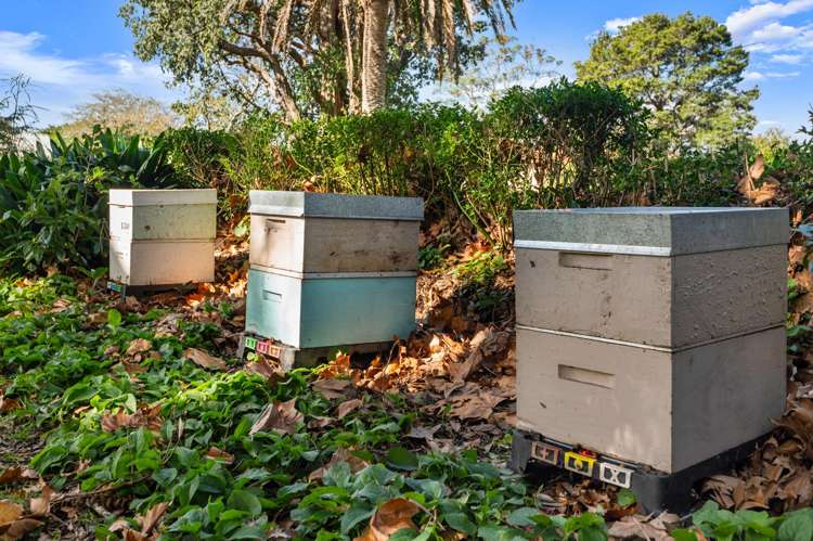 4C/75 Owens Road Epsom_32