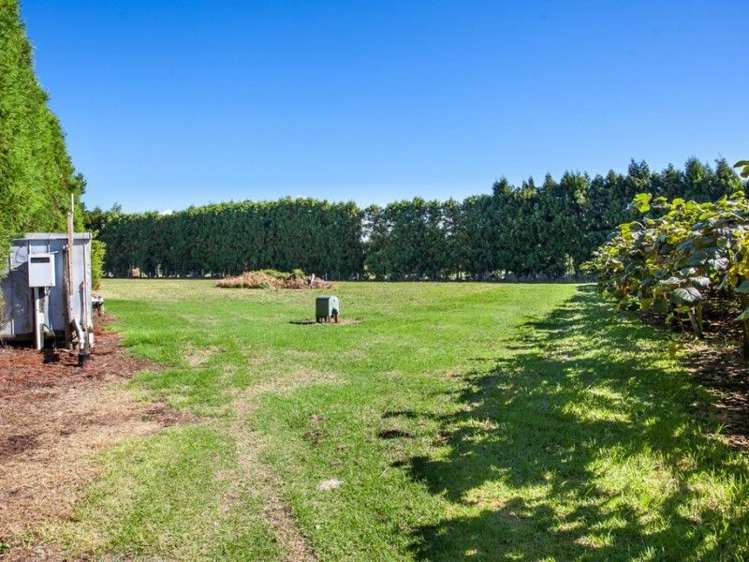 33 Burt Road Matata_12