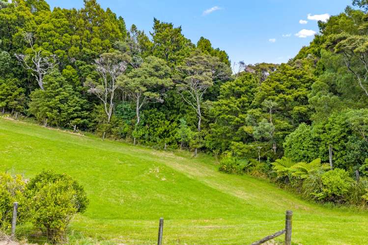 65 M Greenwood Road Leigh_25