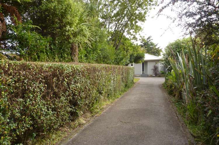 59 Rintoul Street Westport_6