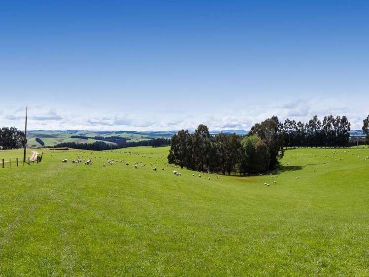 1680 Mahinerangi Road Waipori_22