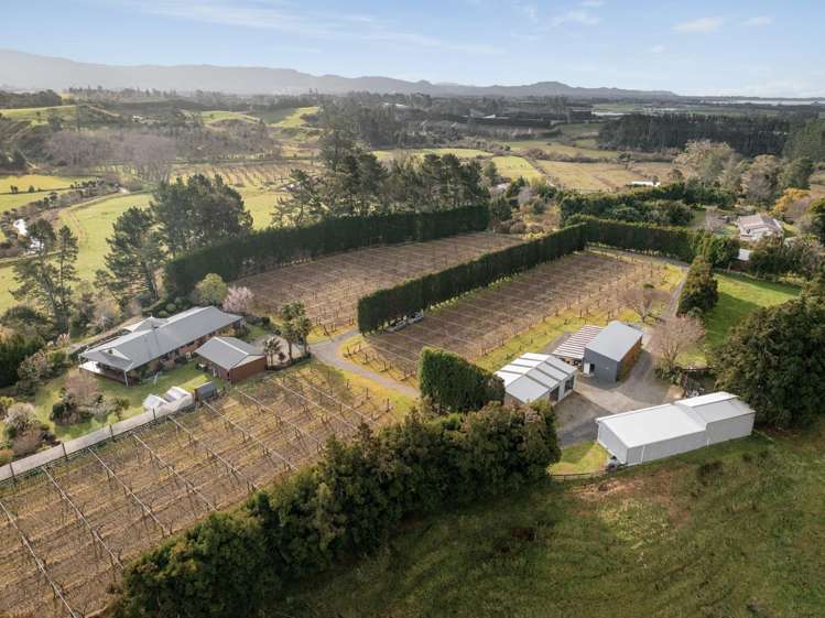 75 Walford Road Aongatete_4