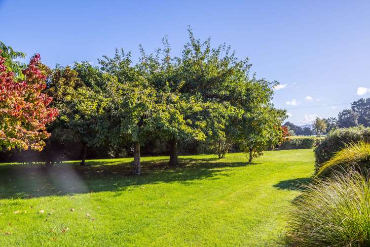 23 North Street Greytown_12