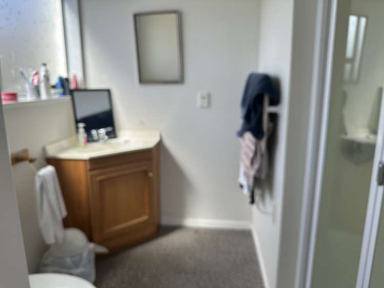 24 Whitcombe Terrace Hokitika_9