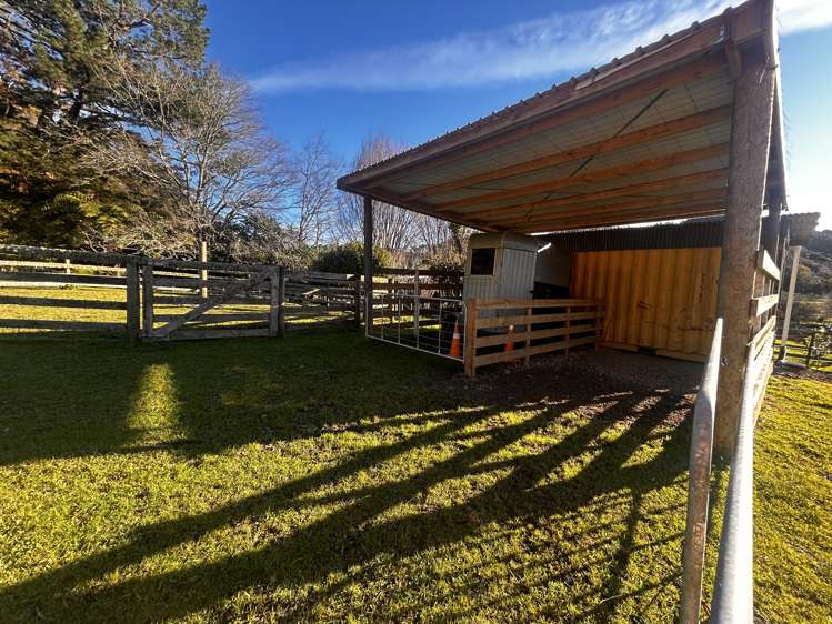 1724 State Highway 3 Uruti_22