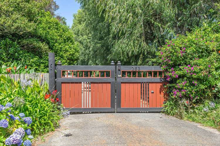 283 Oturoa Road Poroutawhao_24