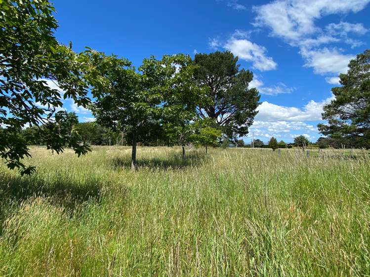 783 Chester Road Carterton_11