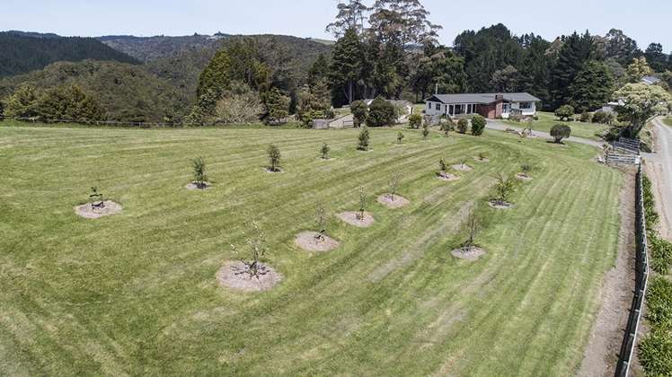 324 Glenmohr Road Waipu_10