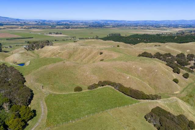 109A Junction Road Halcombe_3