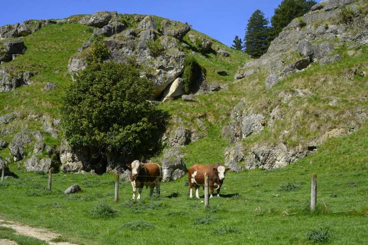 1262 - 1520 Maraetotara Road Waimarama_17