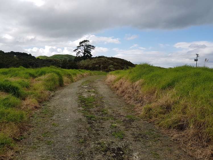 134 Heatley Road Whakapirau_9