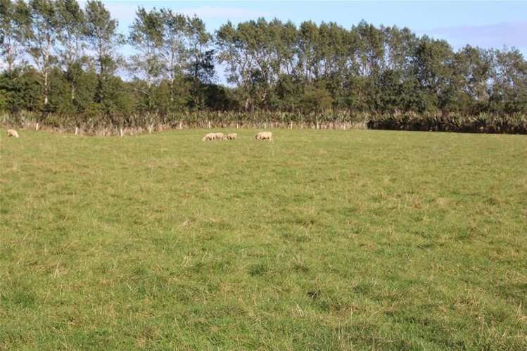 758 Gore Mataura Highway Mataura_6