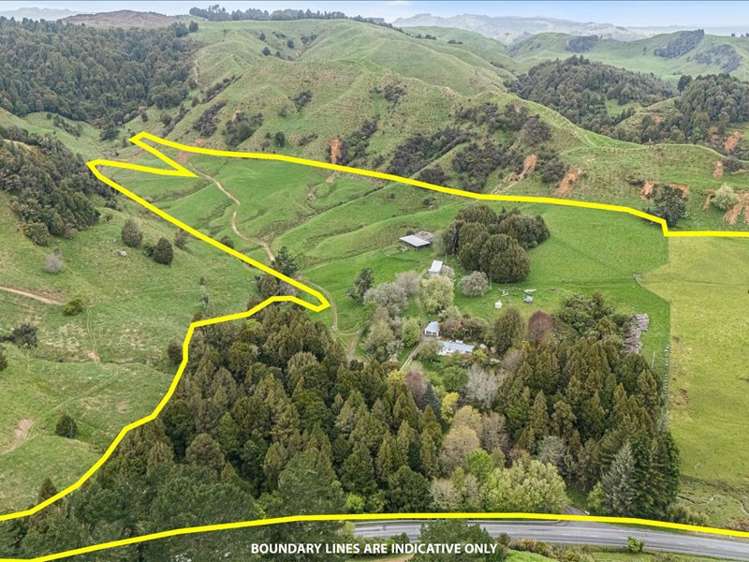 1711 State Highway 4 Aria_16