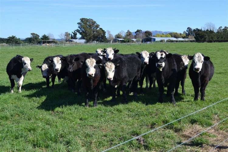 146 Double Corner Road Amberley_18