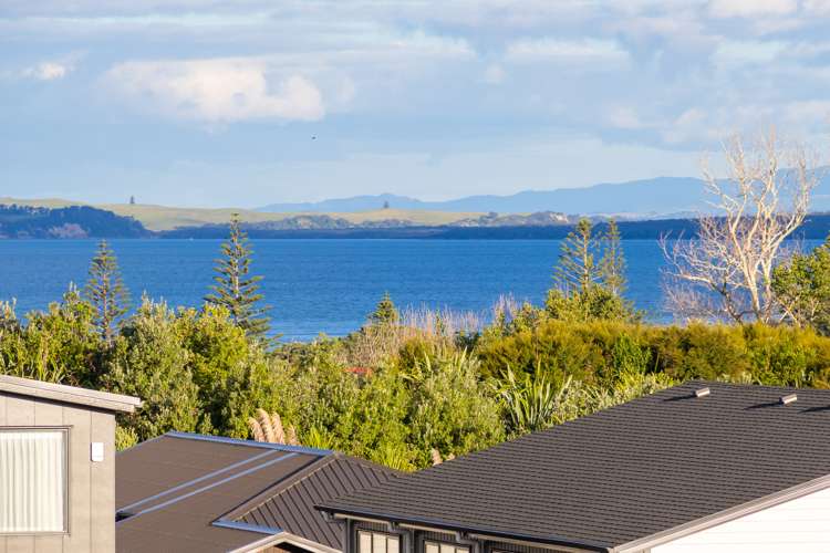 7 Hanikura Street Long Bay_25