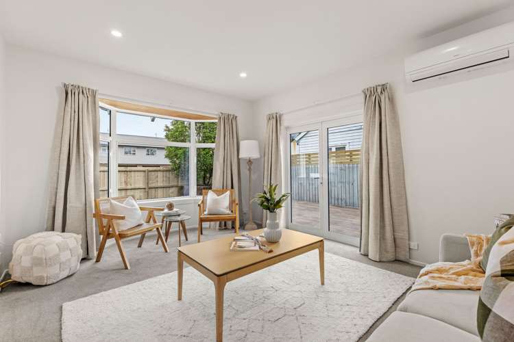 20 Montrose Street Sydenham_5