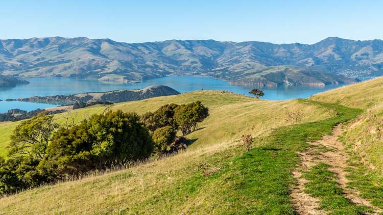 5162 Christchurch Akaroa Road French Farm_37