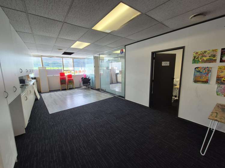 123 Manukau Road Epsom_7