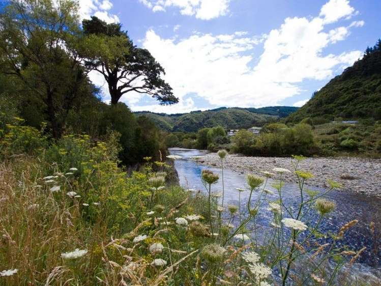 89 Gemstone Drive Birchville_17