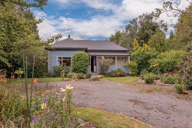 Character-packed Kiwi classic