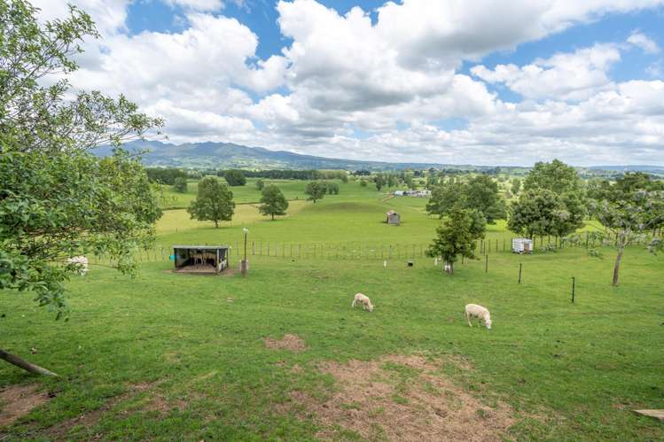 355 Grove Road Te Pahu_5