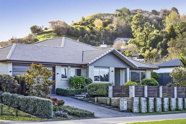 Back a Winner in Taradale