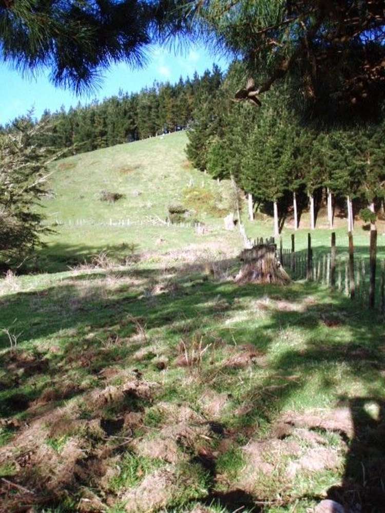 18 Kirk Street Matawai_21