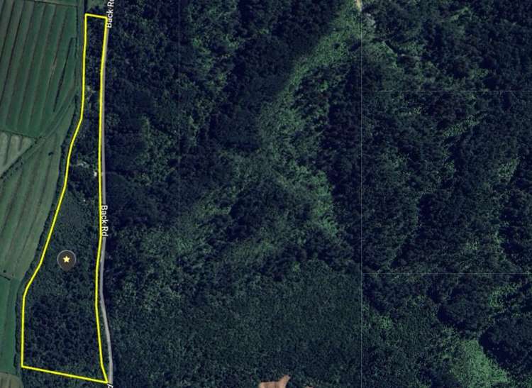 382 Kongahu Road Little Wanganui_28